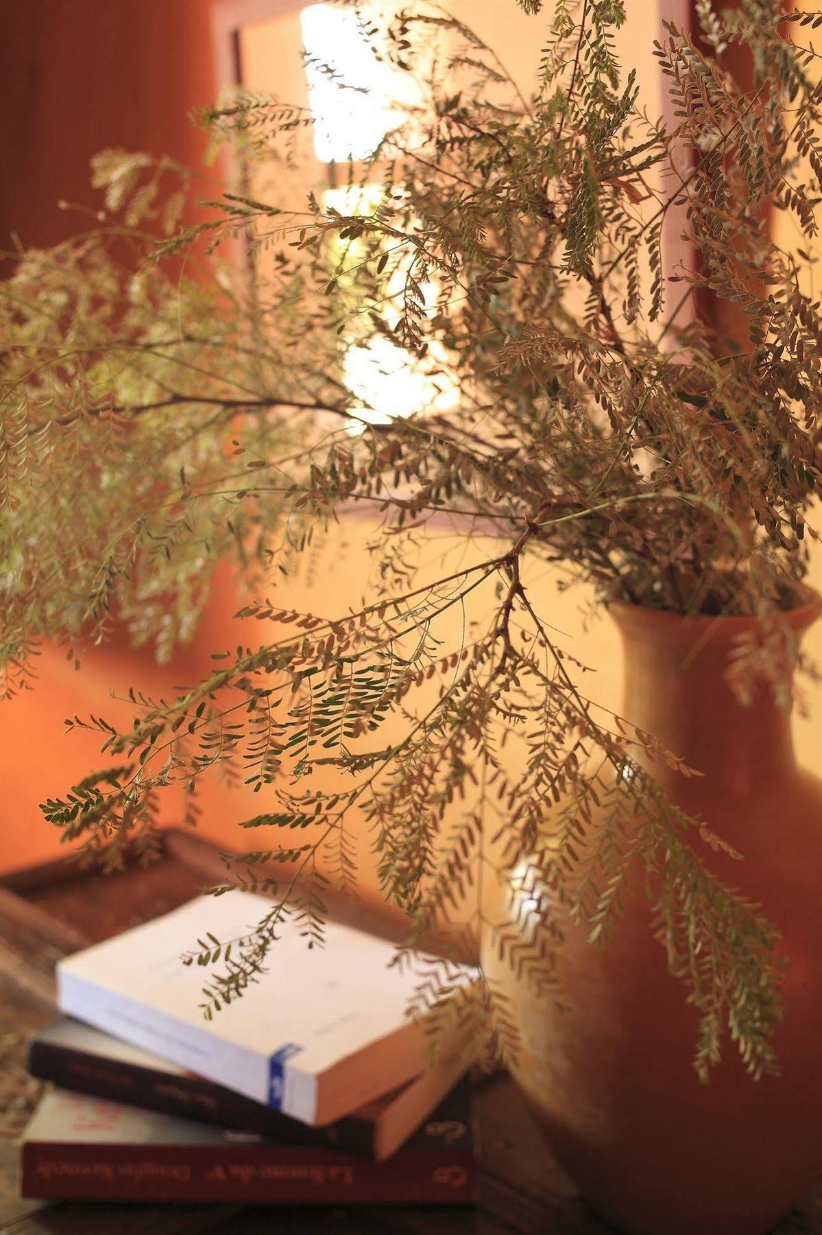 Le Jardin Des Douars Bed & Breakfast Ghazoua Bagian luar foto